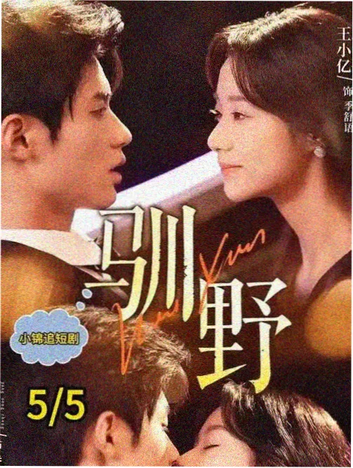 山中来信 治愈剧海报